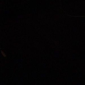 Meet your Posher, Jerry